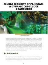 A DYANAMIC CGE-SULUDGE FRAMEWORK FOR PAKISTAN